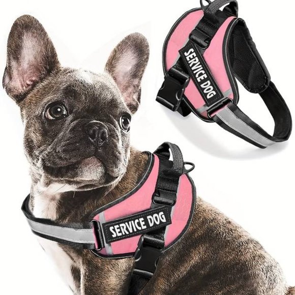 SERCOVE Airline Approved Collapsible Medium Sized Dog/Cat Carrier ( 20 Lbs.max) - Picture 11 of 17